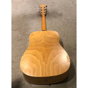 Chitarra acustica NORMAN Encore B20