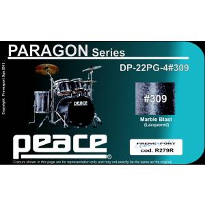  PEACE DP-22-PG-4-C1#309