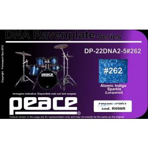  PEACE DP-22DNA2.5#262