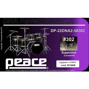  PEACE DP-22DNA2-5#302