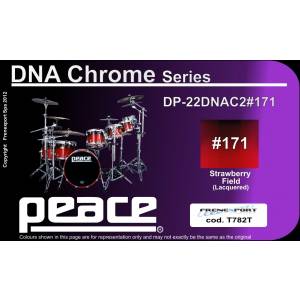 PEACE DP-22DNAC2-5#171