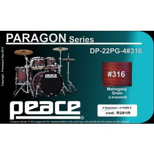  PEACE DP-22PG-4-C1#316