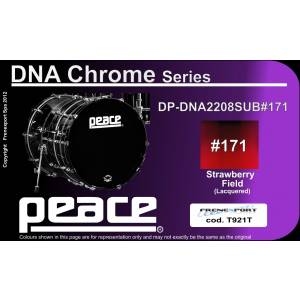  PEACE DP-DNA2208SUB#171