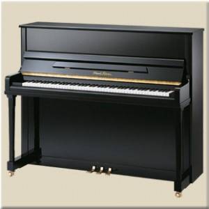 PIANOFORTE VERTICALE PEARL RIVER 121