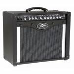 PEAVEY ENVOY 110