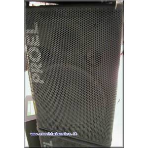 IMPIANTO PROEL TFL15P + PRL1300