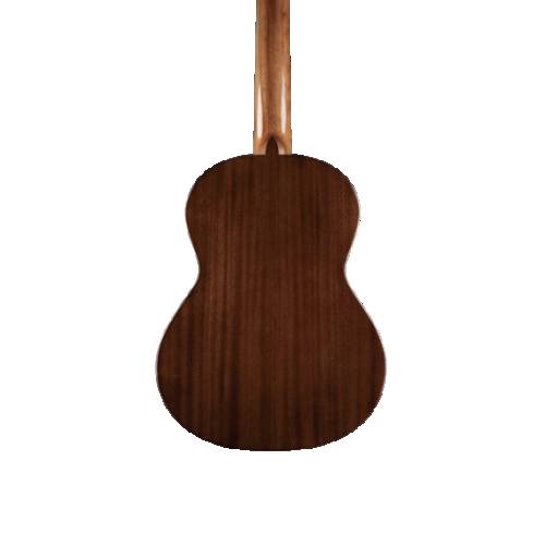Chitarra classica RAIMUNDO R100