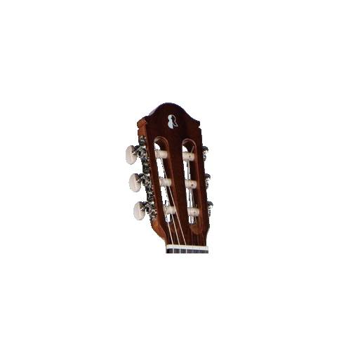 Chitarra classica RAIMUNDO R100