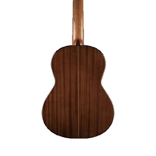 Chitarra classica RAIMUNDO R300