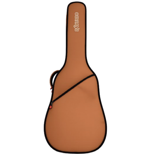 Chitarra classica RAIMUNDO R300