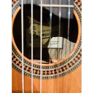 CHITARRA CLASSICA RAIMUNDO Special Ed. TR Black Limba