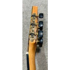 CHITARRA CLASSICA RAIMUNDO Special Ed. TR Black Limba