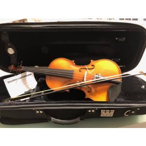 VIOLINO REGHIN REGHIN VST