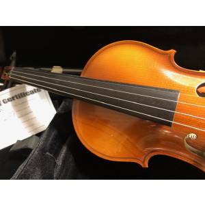 VIOLINO REGHIN REGHIN VST