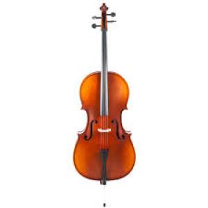 VIOLONCELLO REGHIN VCMR - C100