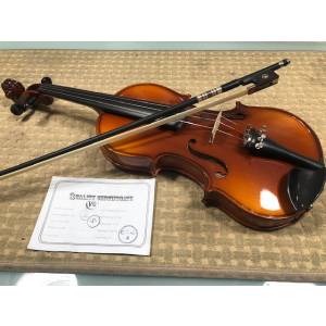 VIOLINO REGHIN VST 1/2