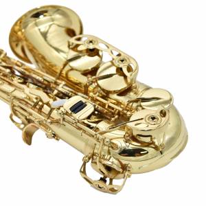 SAX CONTRALTO RIPAMONTI 5030 LACCATO