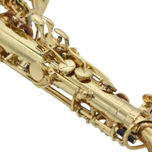 SAX CONTRALTO RIPAMONTI 5030 LACCATO