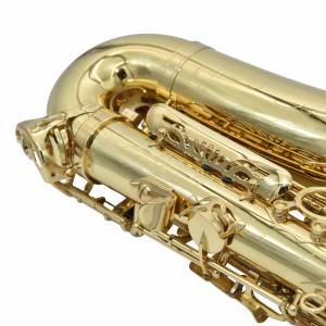 SAX CONTRALTO RIPAMONTI 5030 LACCATO