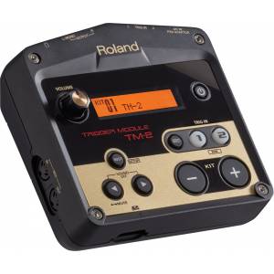 Centralina Trigger Module ROLAND TM2