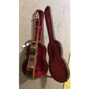 CHITARRA CLASSICA AMPLIFICATA SALVADOR CORTEZ CS  225