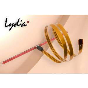 pick up SCHERTLER lydia volume st