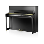 SCHIMMEL C121 EM