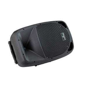 Diffusore portatile SOUNDSATION GO-SOUND 12AMW