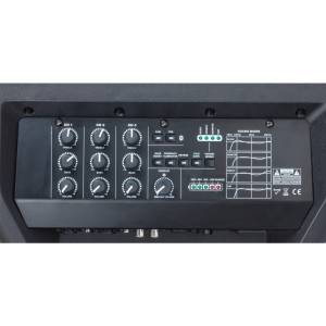 DIFFUSORE PORTATILE SOUNDSATION GO-SOUND 8 STREET