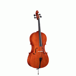 Violoncello SOUNDSATION PCE-12