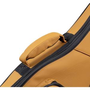  SOUNDSATION SFTC205-B BG