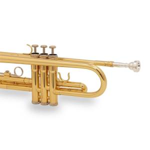  SOUNDSATION STPGD-10E