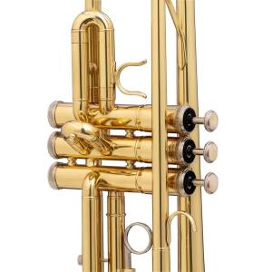  SOUNDSATION STPGD-10E