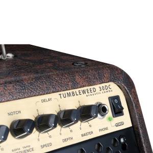 AMPLIFICATORE CHITARRA SOUNDSATION TUMBLEWEED-30DC