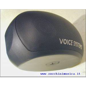 DIFFUSORI AMPLIFICATI VOICE SYSTEMS BEE LIVE