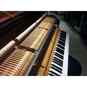 PIANOFORTE A CODA  YAMAHA G1