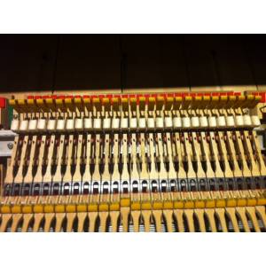 PIANOFORTE A CODA  YAMAHA G1